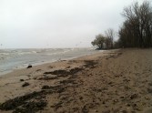 03_lake erie shore (fall)
