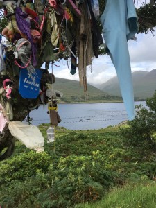 The Jessie stone hanging in a green mesh from a fairy tree in Ireland. Fairy trees, also called wishing trees, are hawthorn trees where people tie ribbons or other items to ask blessings from the local saints. This stone was hung by Micki Ansberry.